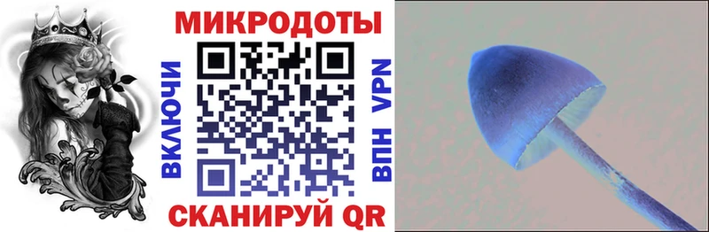 Псилоцибиновые грибы GOLDEN TEACHER  Томск 