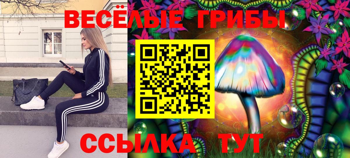 Галлюциногенные грибы мицелий  Вход с VPN  Томск 