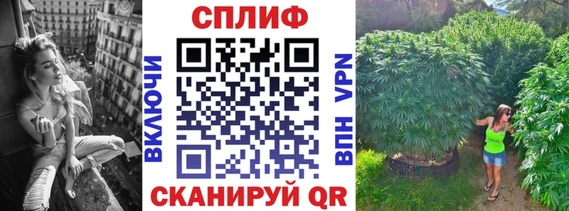 Бошки марихуана Ganja Томск