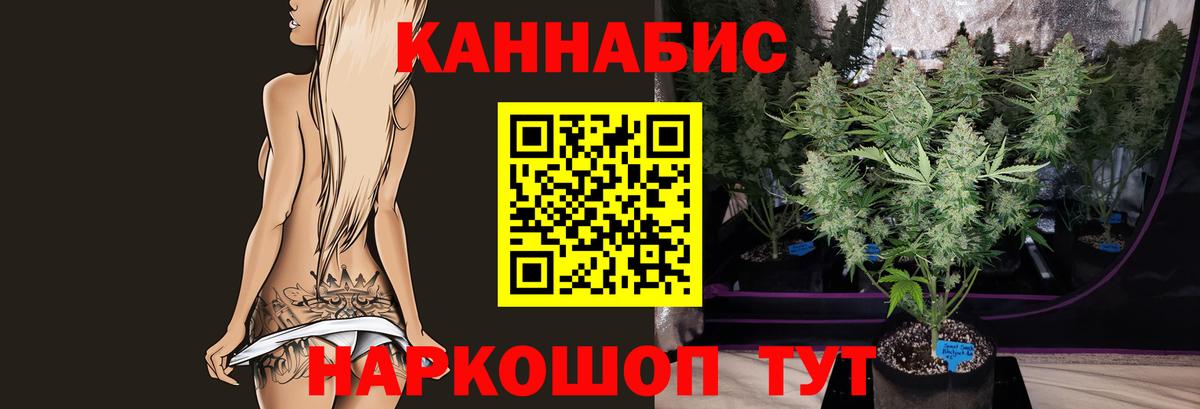 Каннабис White Widow  Бошки марихуана ГИДРОПОН  Вход с VPN  Томск 